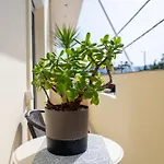 Depy's 2bd House *